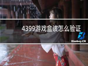 4399游戏盒该怎么验证