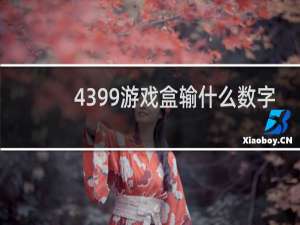 4399游戏盒输什么数字