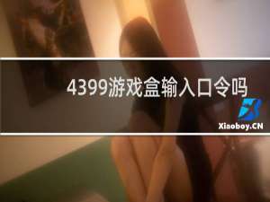4399游戏盒输入口令吗