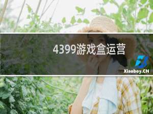 4399游戏盒运营