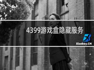 4399游戏盒隐藏服务