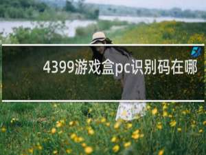 4399游戏盒pc识别码在哪