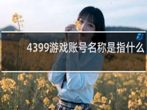 4399游戏账号名称是指什么