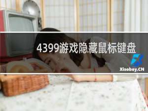4399游戏隐藏鼠标键盘