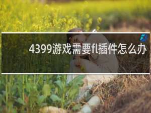 4399游戏需要fl插件怎么办