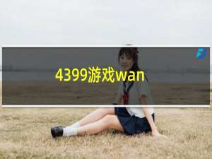 4399游戏wan