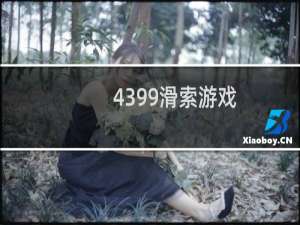 4399滑索游戏