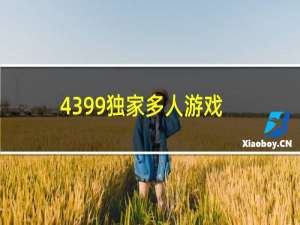 4399独家多人游戏