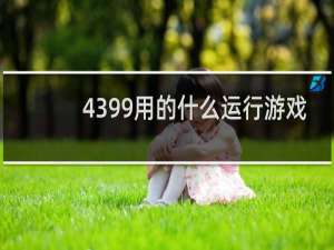 4399用的什么运行游戏