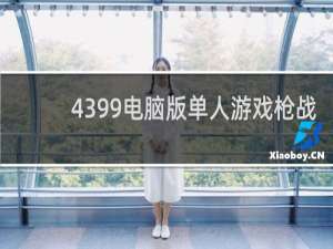 4399电脑版单人游戏枪战