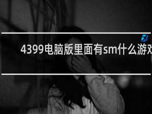 4399电脑版里面有sm什么游戏