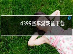 4399赛车游戏盒下载