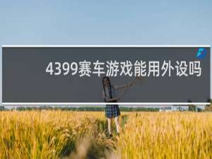 4399赛车游戏能用外设吗