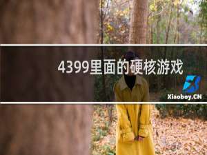 4399里面的硬核游戏