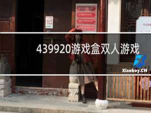 4399 游戏盒双人游戏