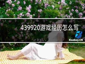 4399 游戏经历怎么写