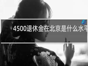 4500退休金在北京是什么水平