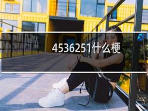 4536251什么梗？什么梗