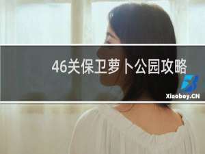 46关保卫萝卜公园攻略