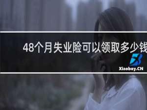 48个月失业险可以领取多少钱