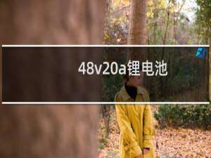 48v20a锂电池