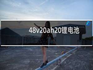 48v20ah 锂电池
