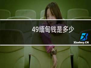 49缅甸钱是多少
