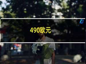 490欧元