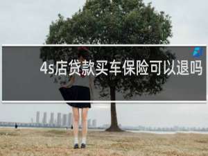 4s店贷款买车保险可以退吗