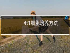 4t1细胞培养方法