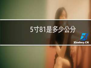 5寸81是多少公分