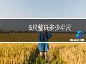 5尺整纸多少平尺