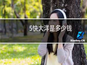 5快大洋是多少钱