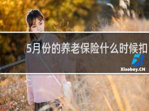 5月份的养老保险什么时候扣