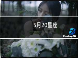 5月 星座