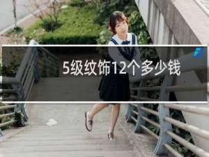 5级纹饰12个多少钱