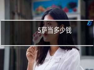 5萨当多少钱