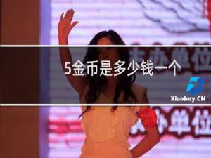 5金币是多少钱一个
