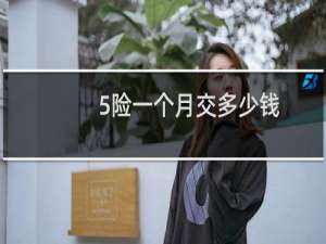 5险一个月交多少钱