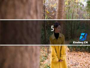 5.0微信怎么设置聊天背景？