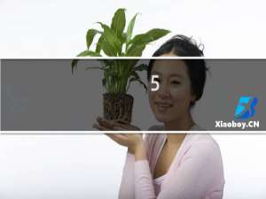 5.5瓦变频器多少钱