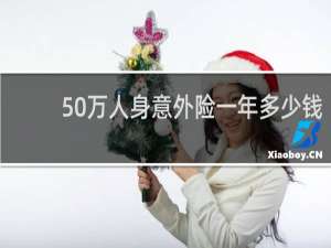 50万人身意外险一年多少钱