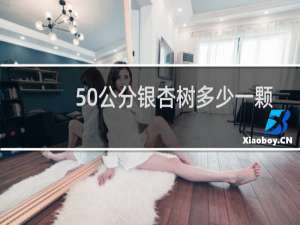 50公分银杏树多少一颗