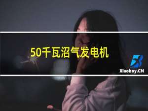 50千瓦沼气发电机