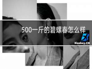 500一斤的碧螺春怎么样