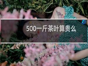 500一斤茶叶算贵么