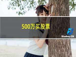 500万买股票