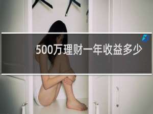 500万理财一年收益多少