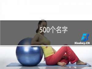 500个名字