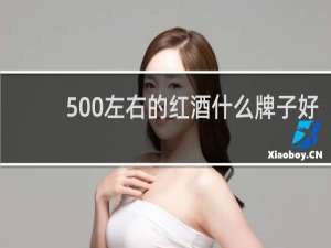 500左右的红酒什么牌子好